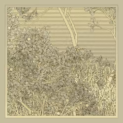 Entangled #133