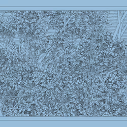 Entangled #57