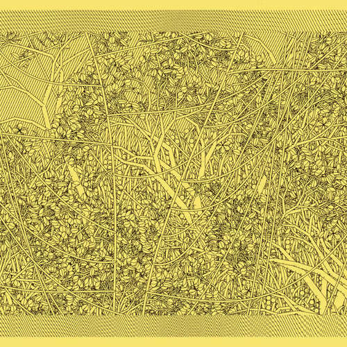Entangled #294