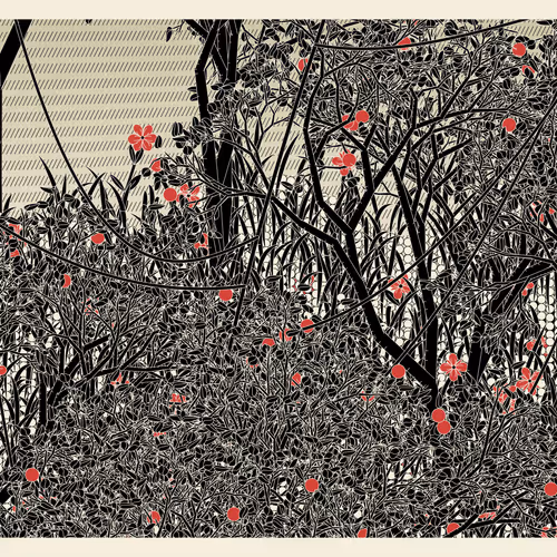 Entangled #341