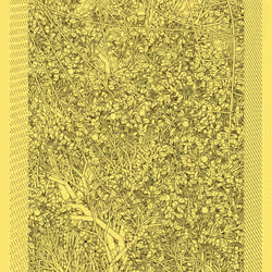 Entangled #81