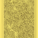 81