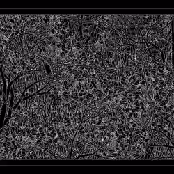 Entangled #381