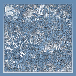 Entangled #106