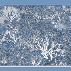 Entangled #246