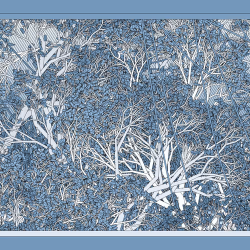 Entangled #246