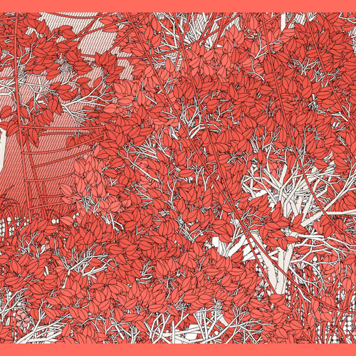 Entangled #115