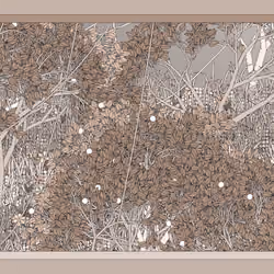 Entangled #339
