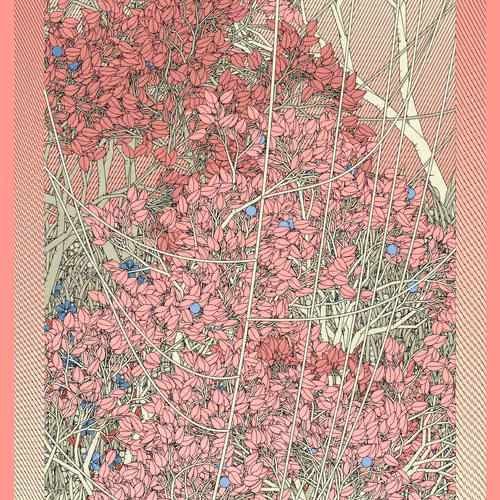 Entangled #123