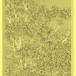 Entangled #411