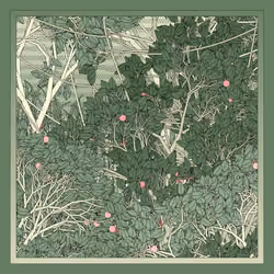 Entangled #256