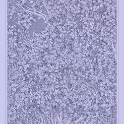 Entangled #146