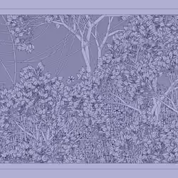 Entangled #337