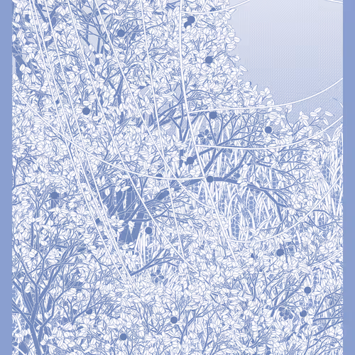 Entangled #204