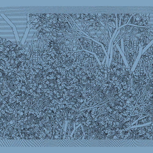 Entangled #399