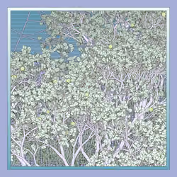 Entangled #423