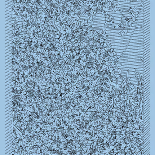 Entangled #233