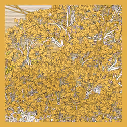 Entangled #493