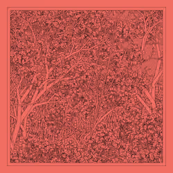 Entangled #209