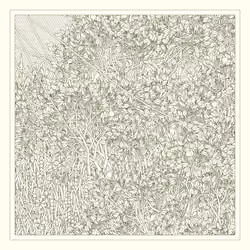 Entangled #507