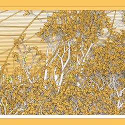 Entangled #110