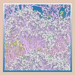 Entangled #56