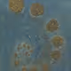 92