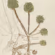 97