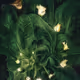 94