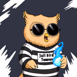 Payowls #3492