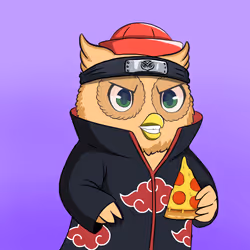 Payowls #1379