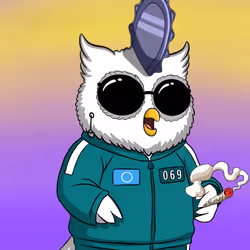 Payowls #52