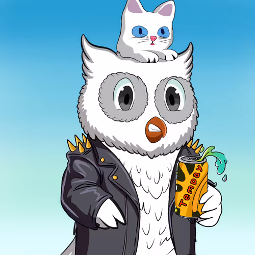 Payowls Nft