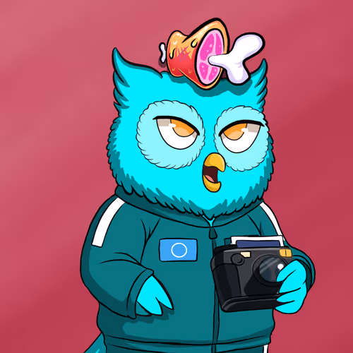 Payowls Nft