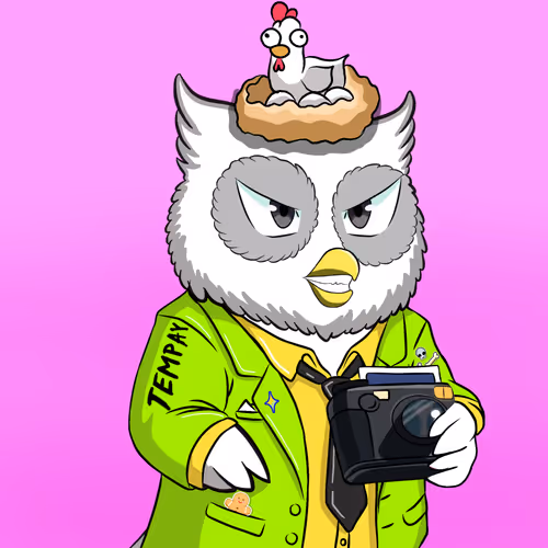 Payowls Nft