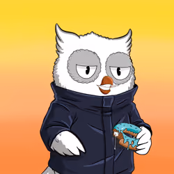 Payowls #164