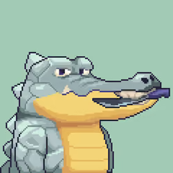Croc #3140