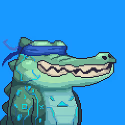 Croc #6201