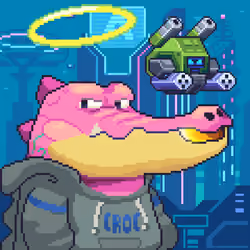 Croc #8428