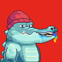 Croc #2212