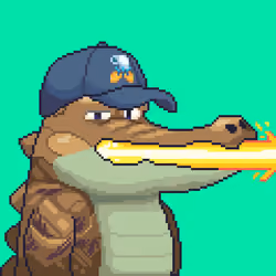 Croc #3260