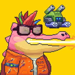 Croc #8966