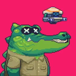 Croc #9528