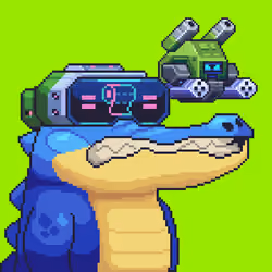 Croc #6571