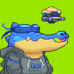 Croc #8422