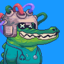 Croc #5665