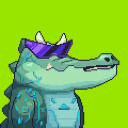 Croc #480