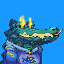 Croc #6238