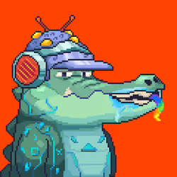 Croc #1010