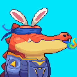 Croc #330
